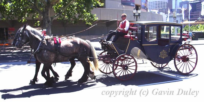 Horse and carriage, South Bank IMGP0954_crop.jpg